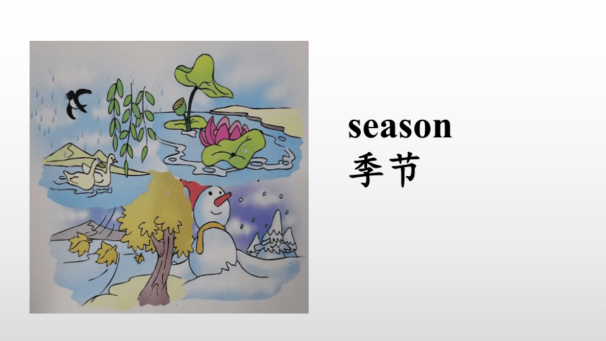 Unit 3 Seasons of a year lesson1 课件（共21张PPT）