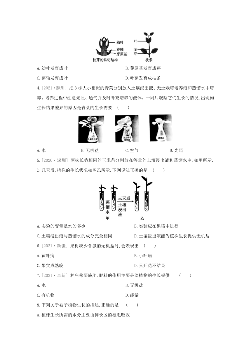 人教版生物学七年级上册同步练习：3.2.2　植株的生长(word版含答案）