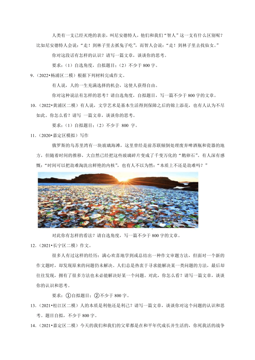 专题8：作文-高考语文三年模拟题知识点分类汇编（上海专版）（含解析）