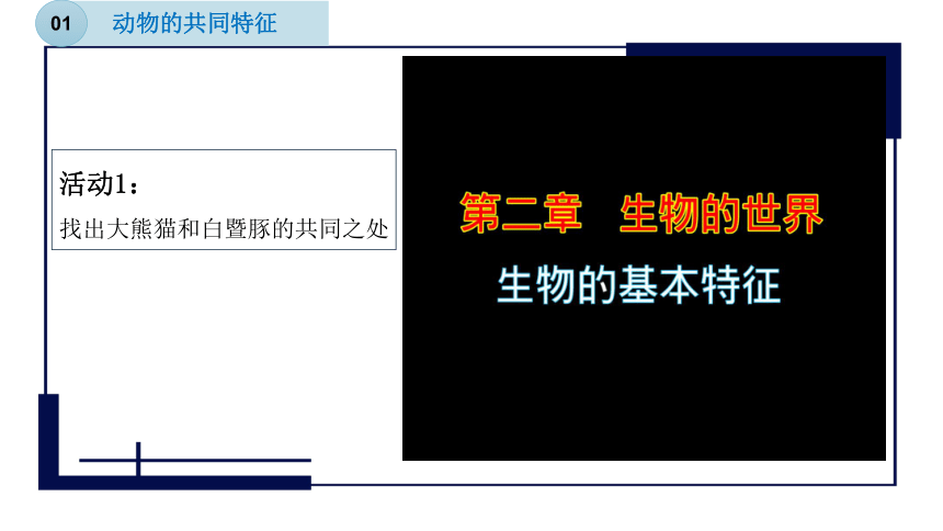 2.1.1生物的基本特征（课件 27张PPT）