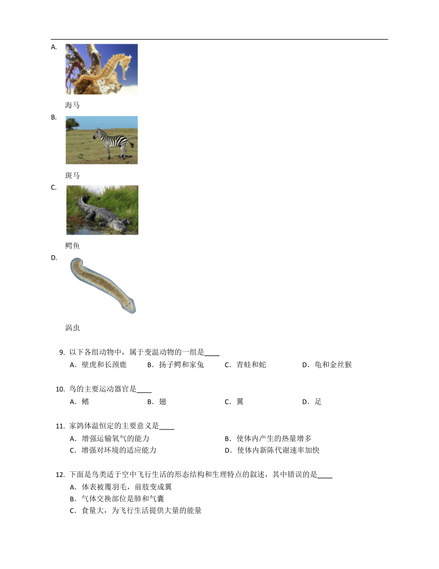 苏科版七年级下5.12.1鸟类（含答案）