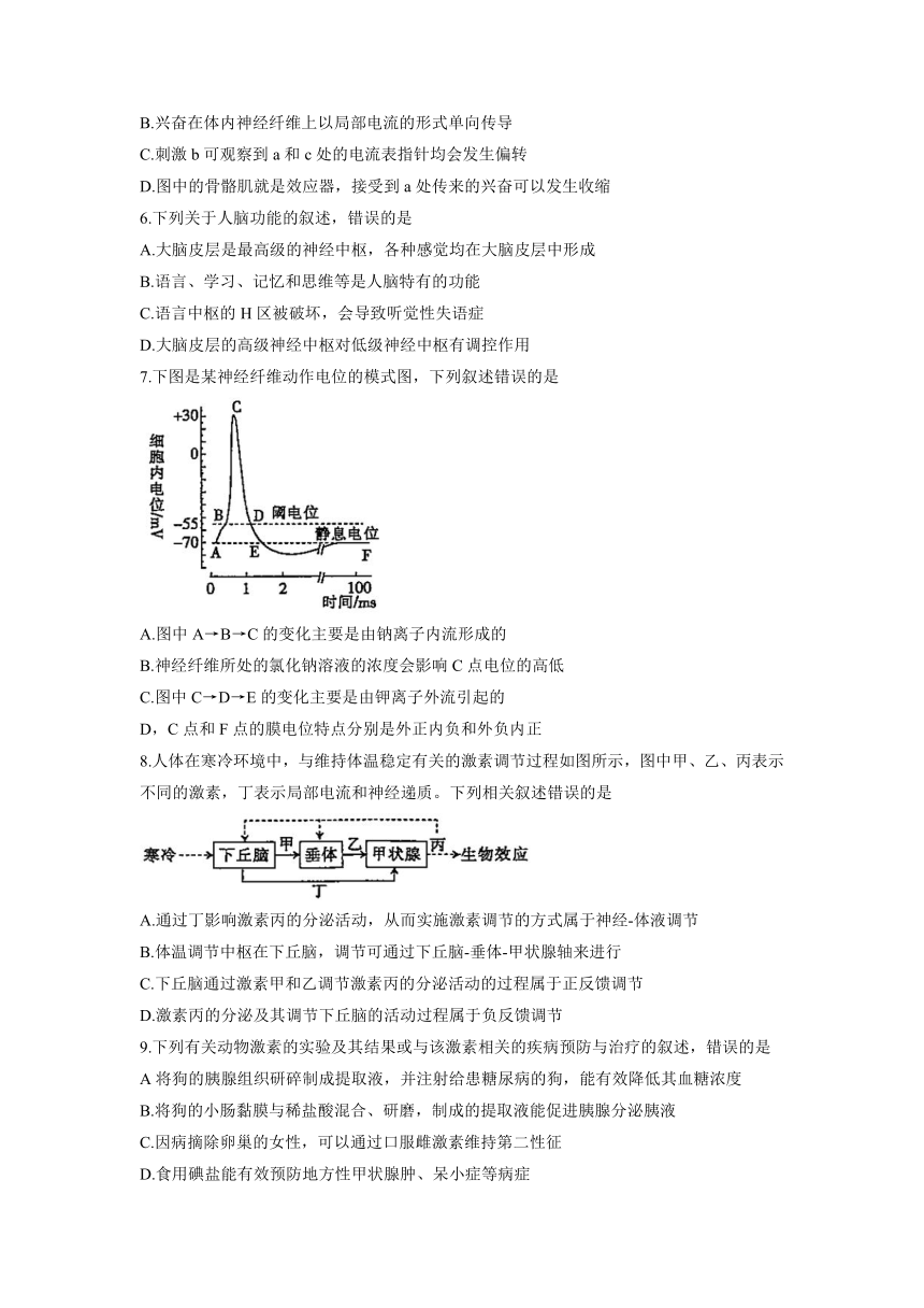 广西贵港市平南县2021-2022学年高二上学期期中教学质量检测生物试题（Word版含答案）