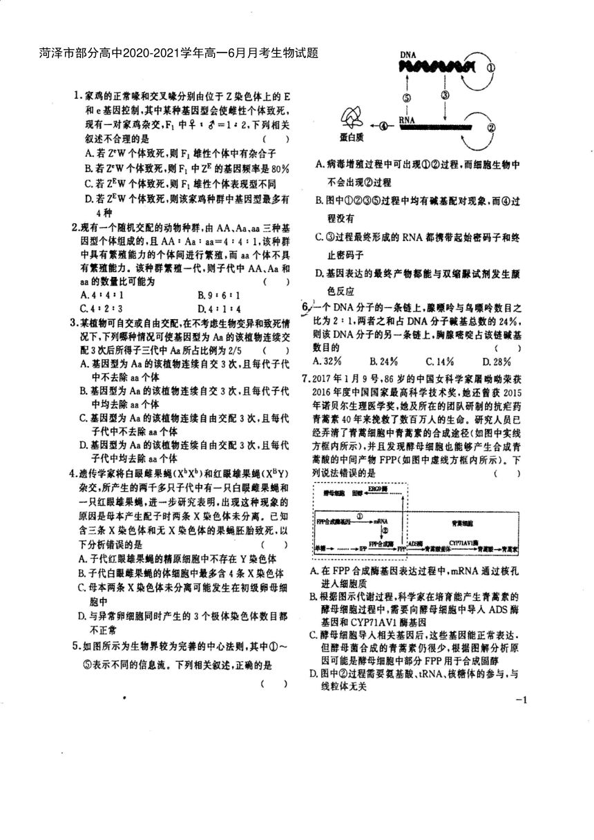 山东省菏泽市部分高中2020-2021学年高一下学期6月月考生物试题 扫描版含答案