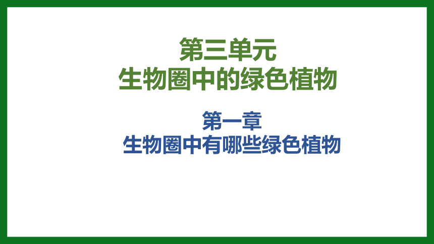 3.1.1 藻类、苔藓、蕨类植物课件(共33张PPT)人教版七年级生物上册