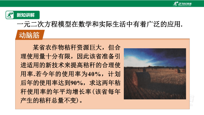 2.5 一元二次方程的应用（1）课件（共25张PPT）