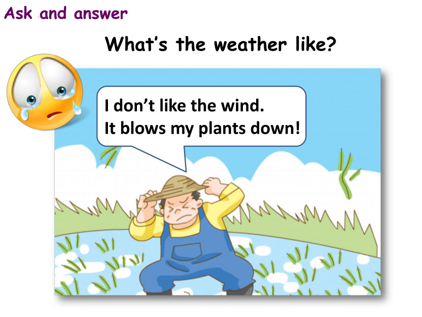 Module3 Unit2 Weather 课件(共42张PPT)