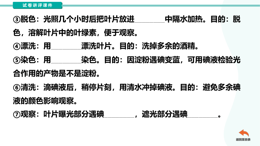 第三单元第四章绿色植物的光合作用复习试卷讲评课件（共54张PPT）