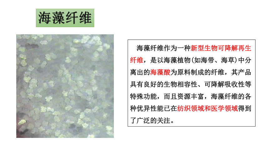海藻纤维 课件(共14张PPT)《服装材料》同步教学（中国纺织出版社）
