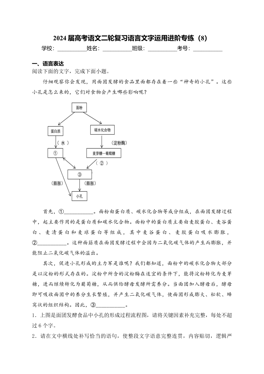 2024届高考语文二轮复习语言文字运用进阶专练（8）(含答案)