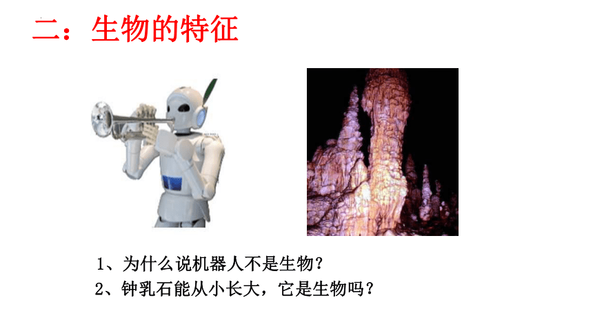 1.1.1生物的特征课件2022－－2023学年人教版生物七年级上册（共28张PPT）