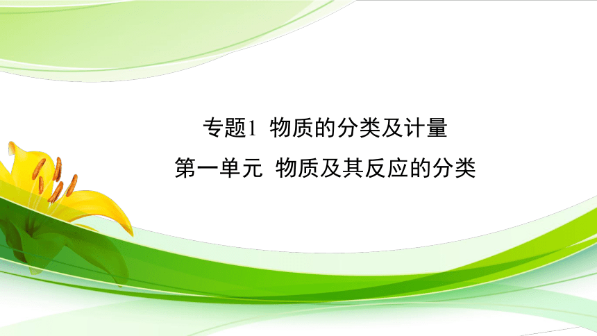 高中化学苏教版2019必修一 1.1 物质及其反应的分类  课件（17张PPT）