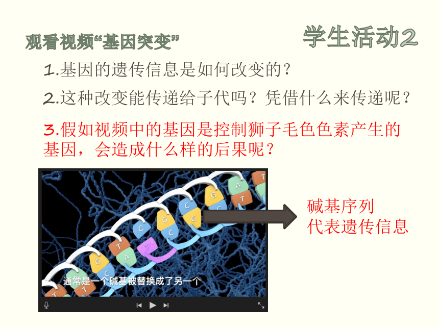 第四节 生物的变异 课件（25张PPT）