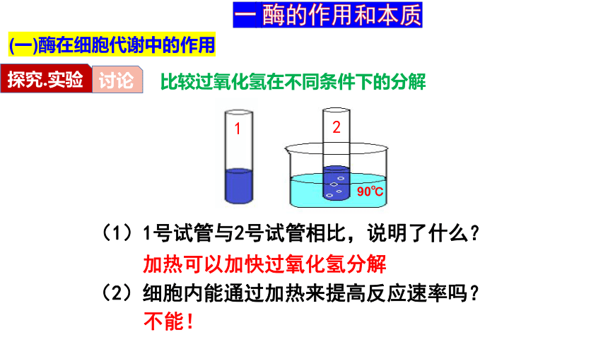 5.1降低化学反应活化能的酶课件(共41张PPT)
