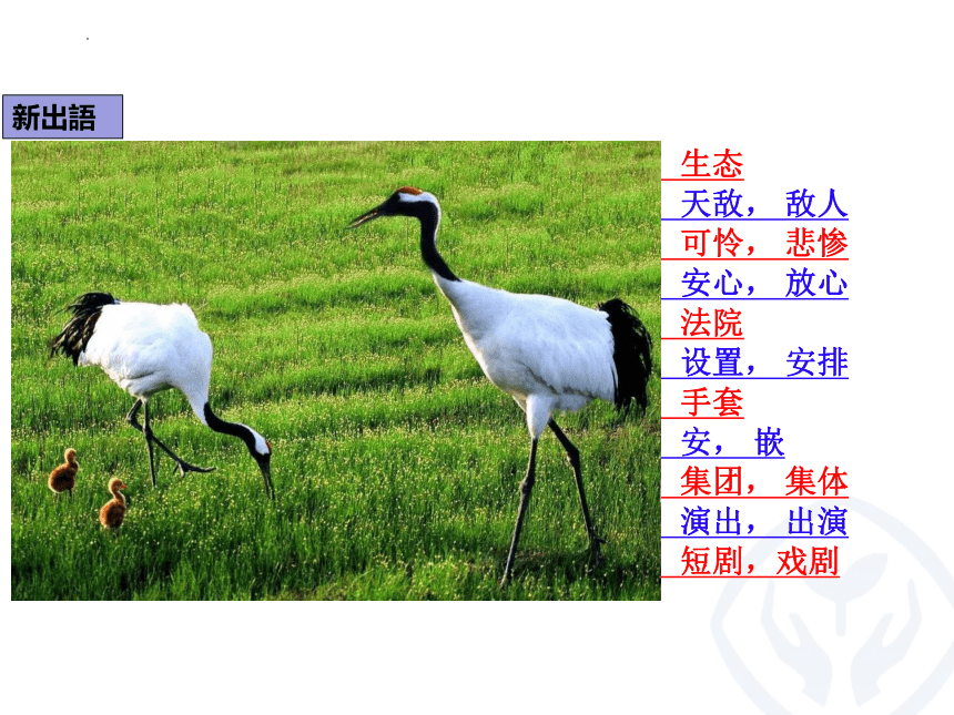 第8課 タンチョウの保護 课件（43张）