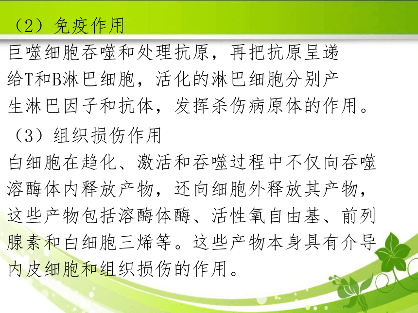 4.2急性炎症 课件(共67张PPT)《病理学》同步教学（人卫版）