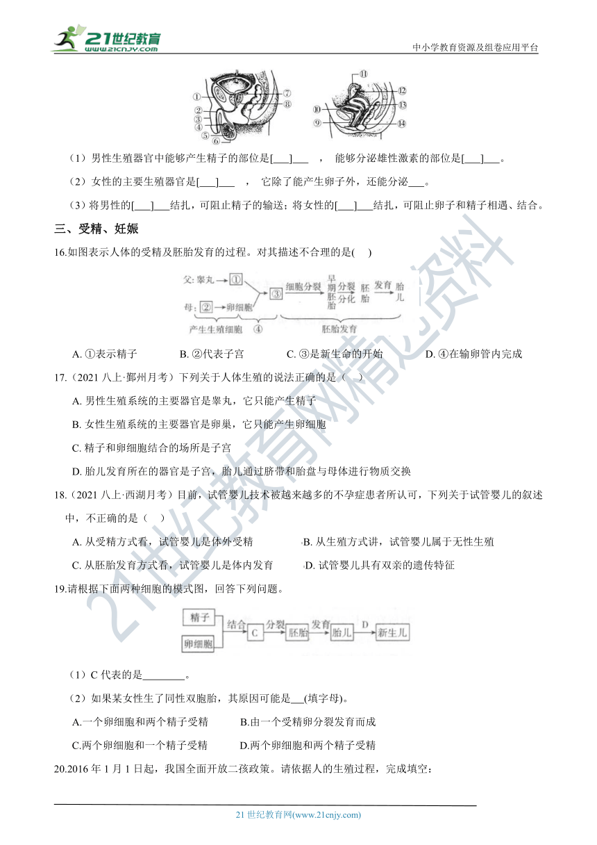 【7年级下册同步讲练测】1.1 新生命的诞生  知识点精炼（含答案）