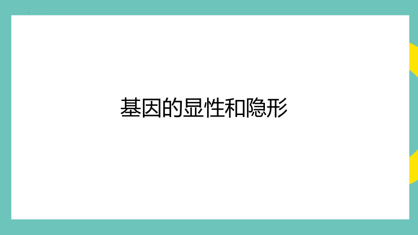 7.2.3基因的显性和隐性课件 (共27张PPT)八年级生物人教版下册