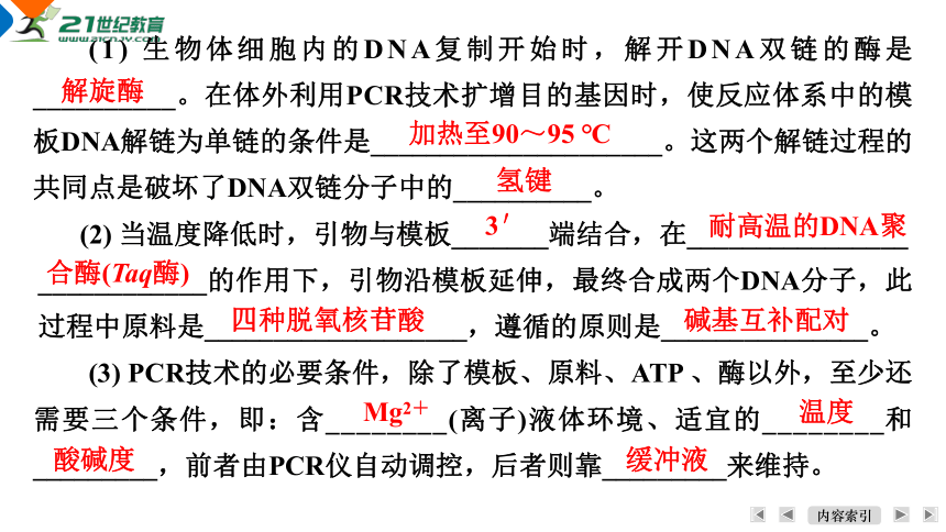 【一轮复习】第4单元遗传的分子基础第5课时　DNA片段的扩增(PCR)及电泳鉴定课件(共35张PPT)