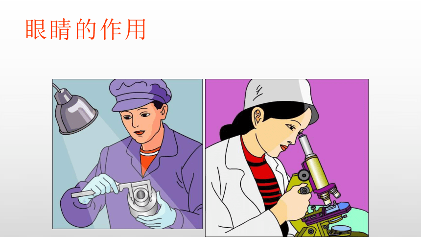 保护视力（课件）- 体育一年级上册(共13张PPT)