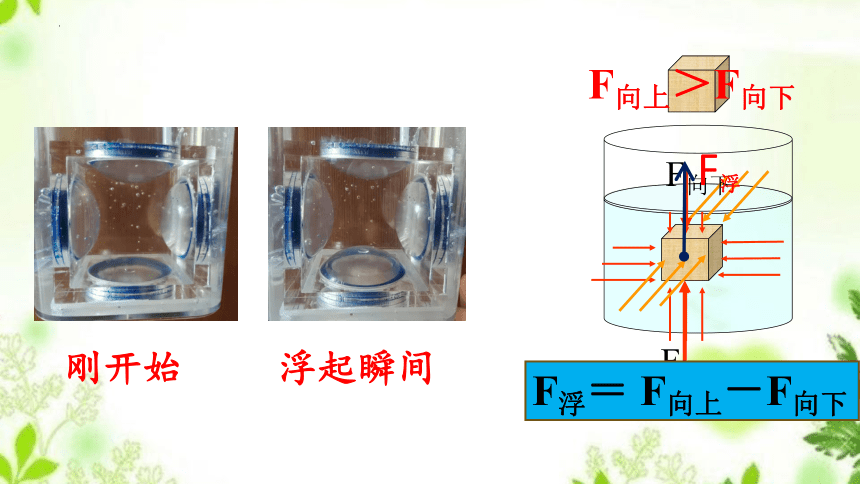 8.1浮力教学课件-2021-2022学年鲁科版八年级物理下册(共30张PPT)