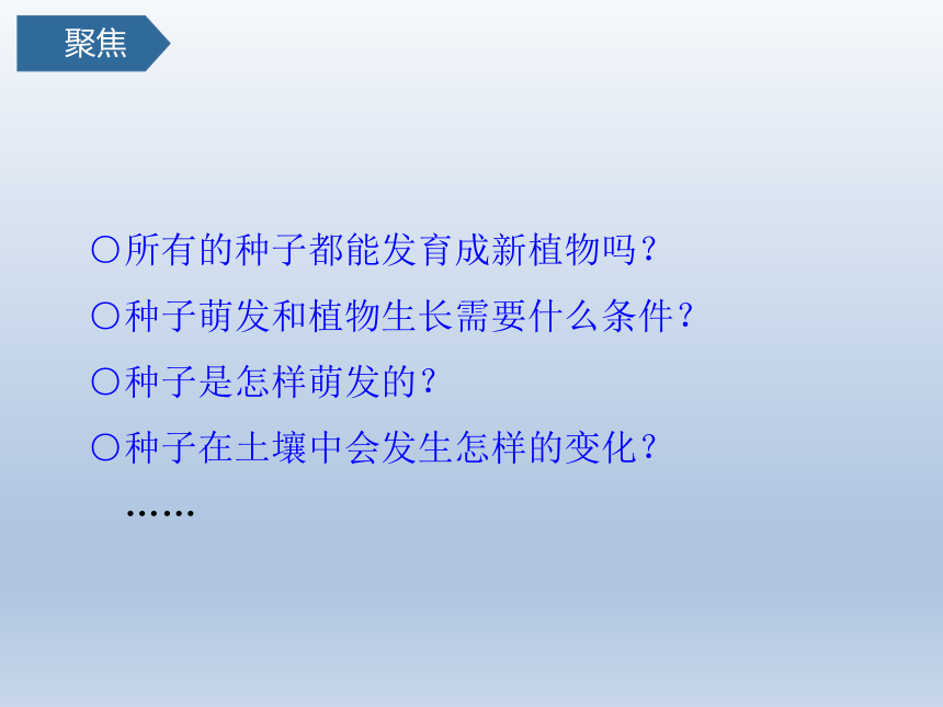 教科版（2017秋）小学科学四年级下册 2.2种植凤仙花 课件(共22张PPT )