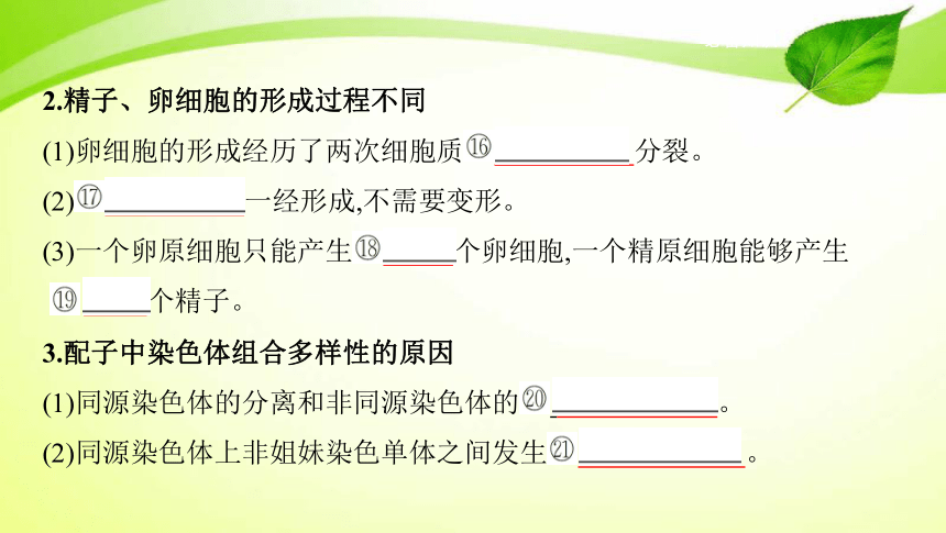 高考生物专题课件11：遗传的细胞基础(共65张PPT）