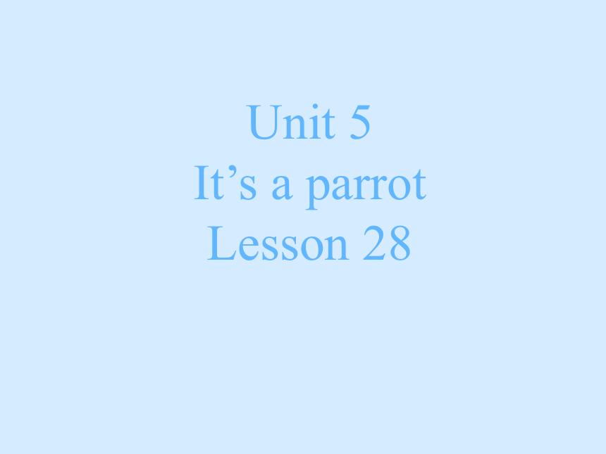 Unit 5  It's a parrot. Lesson 28 课件(共17张PPT)
