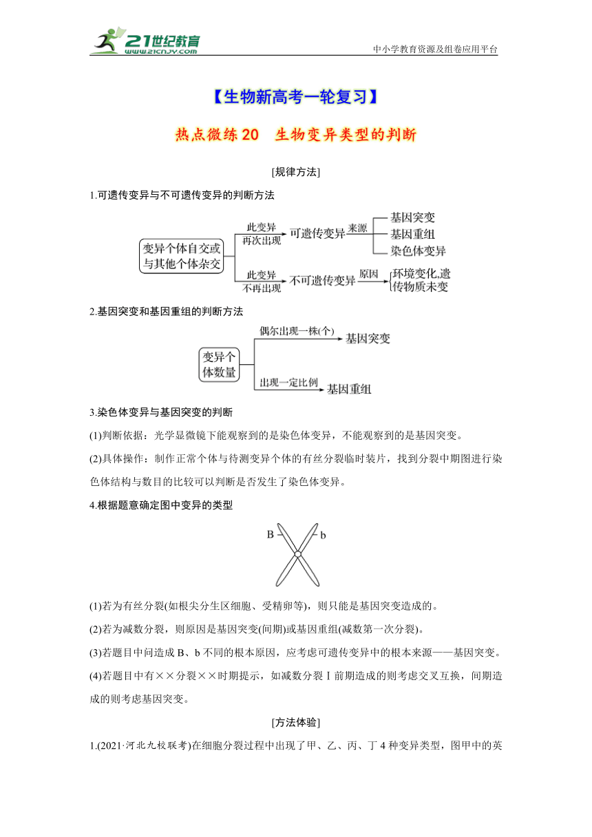 【生物新高考一轮复习】热点微练20　生物变异类型的判断（word版含解析）