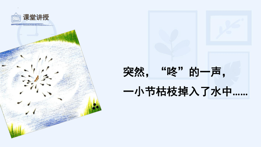 第10课 小蝌蚪（课件）湘美版 美术二年级上册(共32张PPT)