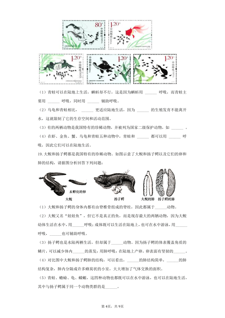 7.1.5两栖类和爬行类 同步练习(word版含解析）