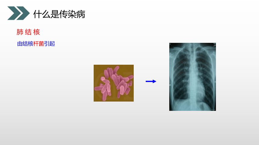 8.1.1传染病及其预防课件(共25张PPT)2022--2023学年人教版生物八年级下册