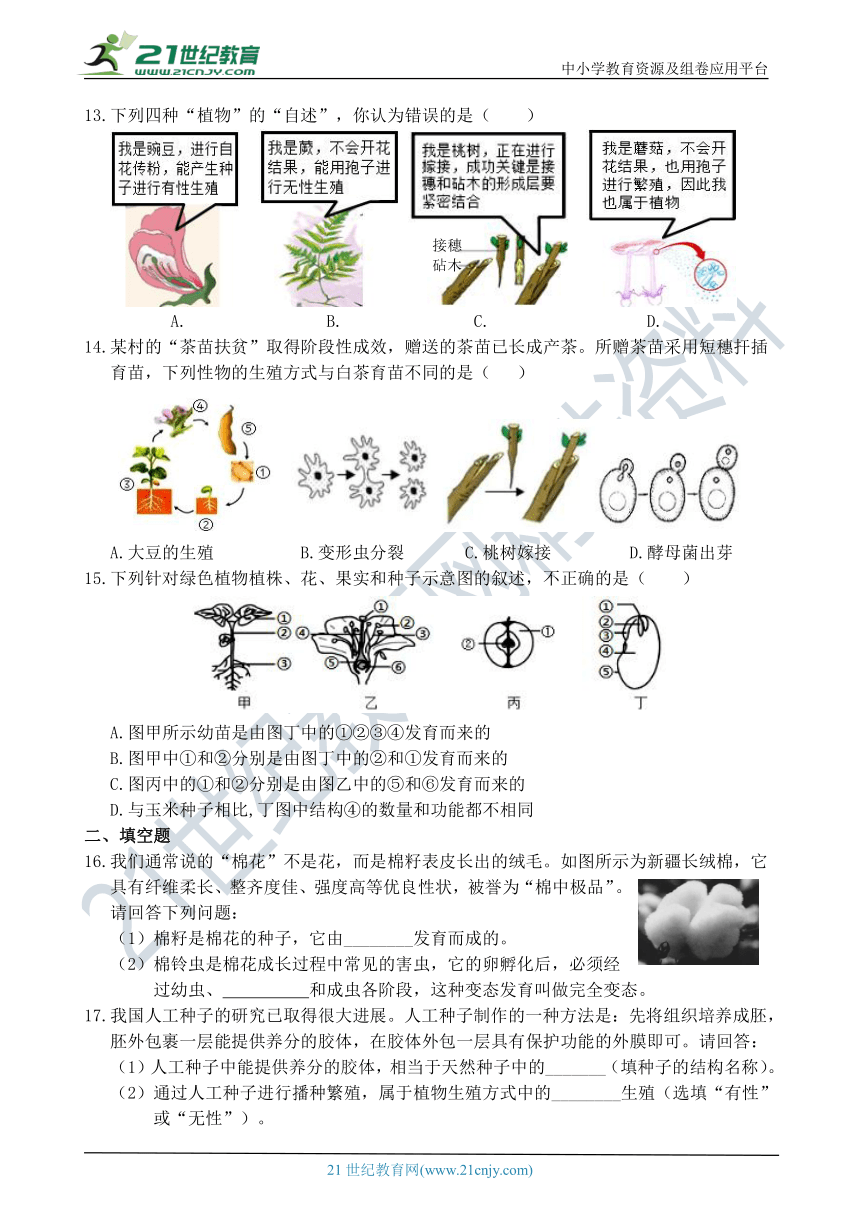 八年级科学暑托作业15（生命的延续）（含答案）