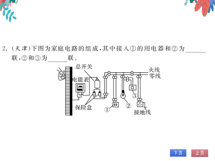 【北师大版】物理九年级全册 13.5 家庭电路  习题课件