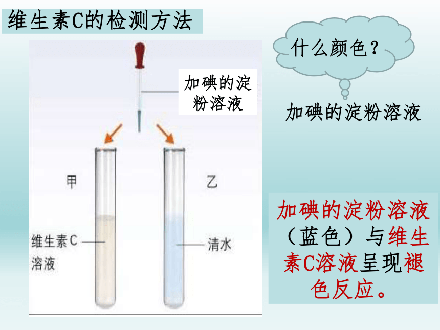 8-1人类的食物课件(共23张PPT)2021--2022学年北师大版生物七年级下册