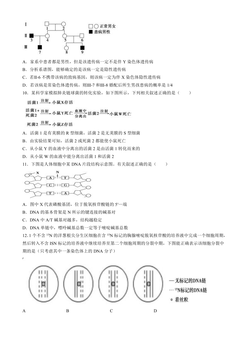 四川省眉山市仁寿县实验中学2023-2024学年高一下学期4月期中考试生物学试题（含答案）