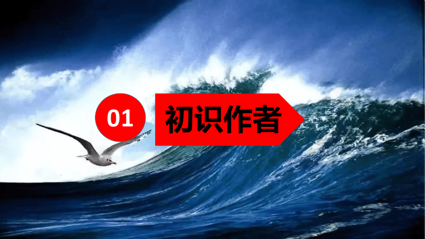 4.海燕 课件(共34张PPT)