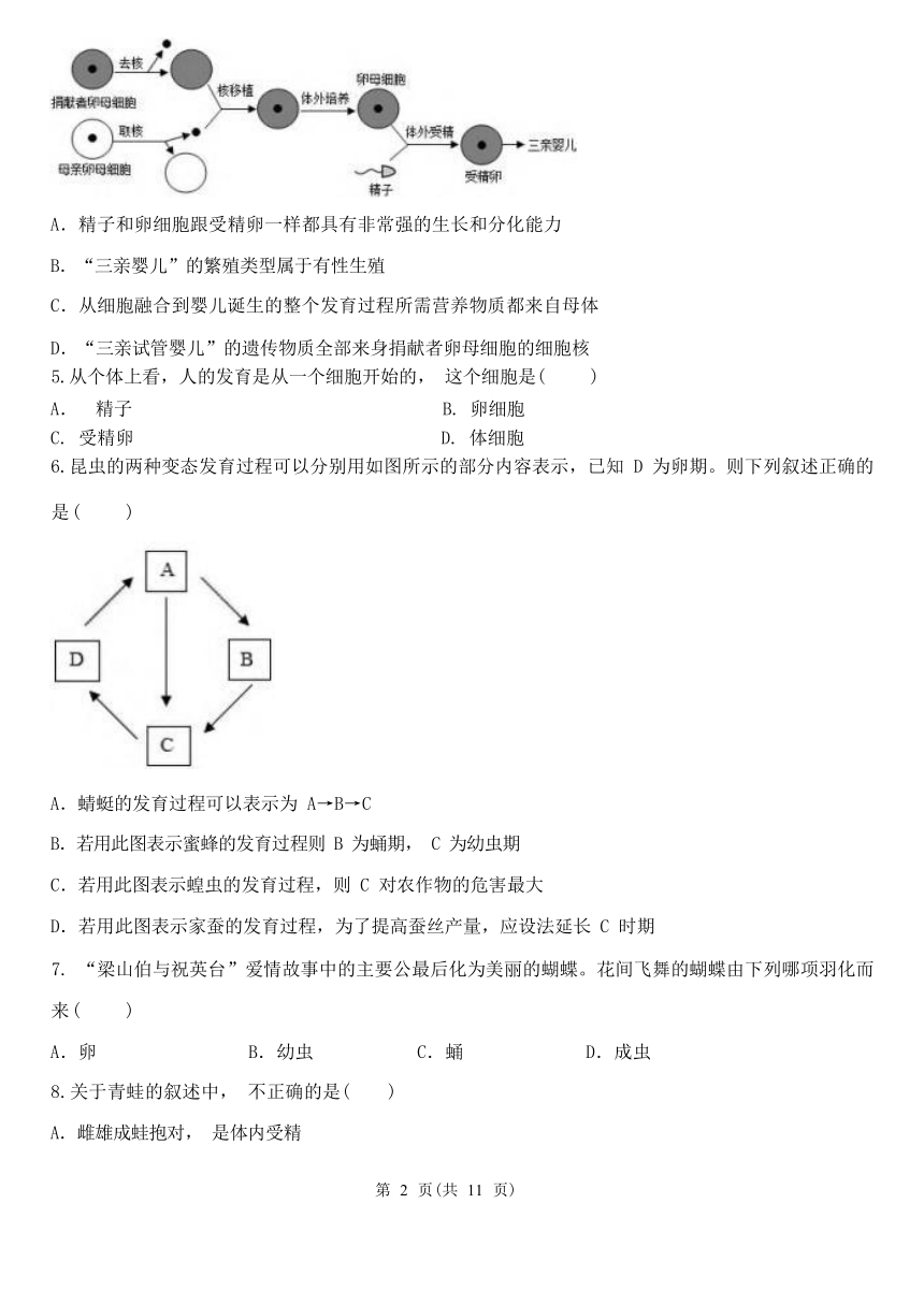 第1章 代代相传的生命 复习专题（1.1-1.3，含解析）