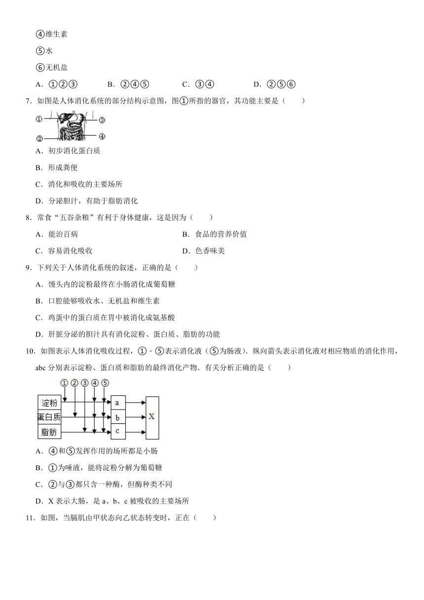 2021-2022学年山东省烟台市招远市七年级（上）期末生物试卷（五四学制）（word版含解析）