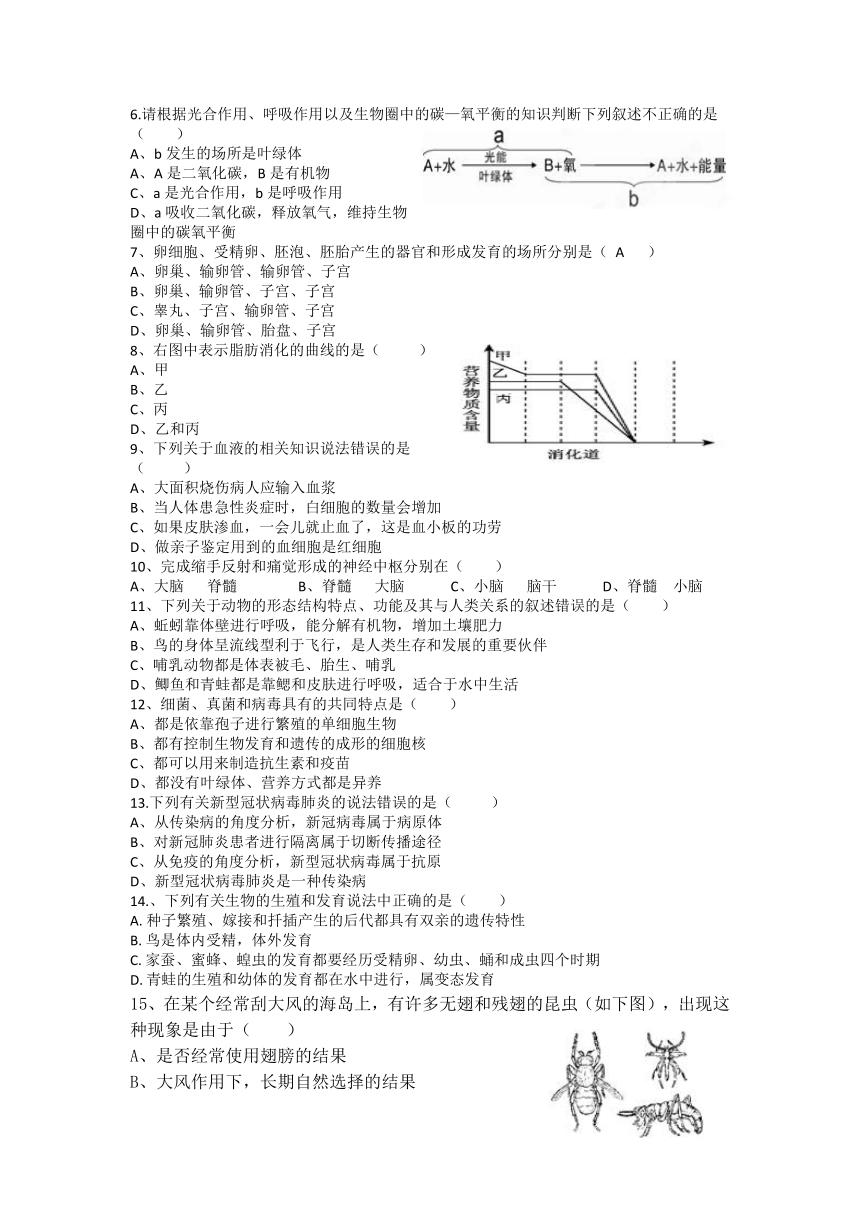 2023年湖北省十堰市中考模拟测生物试题（三）（含答案）