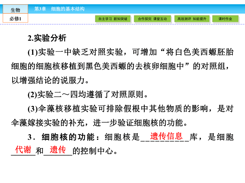 （人教版）高中生物必修一：3.3《细胞核——系统的控制中心》课件（共42 张PPT）