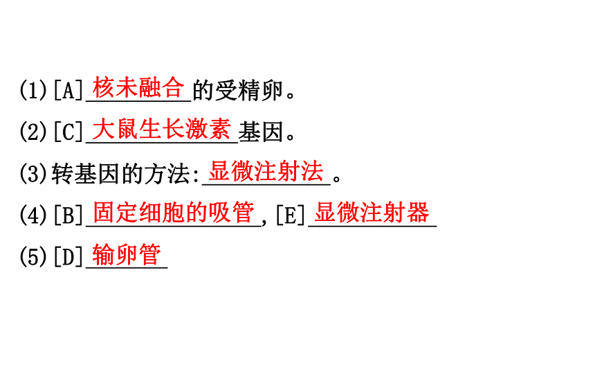 2021-2022学年人教版生物中考复习之生物的遗传与变异课件（80张PPT）