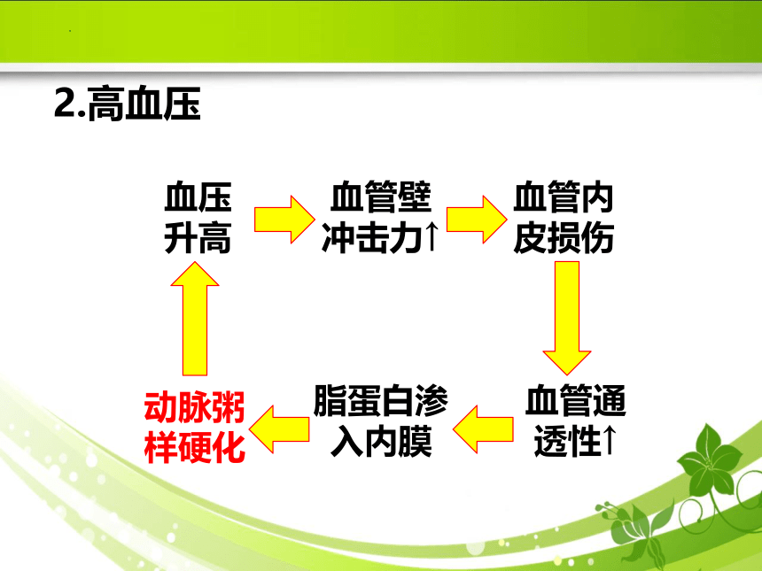 6.1动脉粥样硬化的危险因素 课件(共35张PPT)《病理学》同步教学（人卫版）