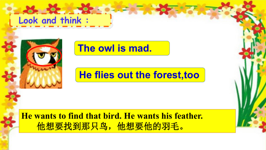 新派英语课标版二年级上册Why the owl says, “Who”绘本故事课件(共18张PPT)