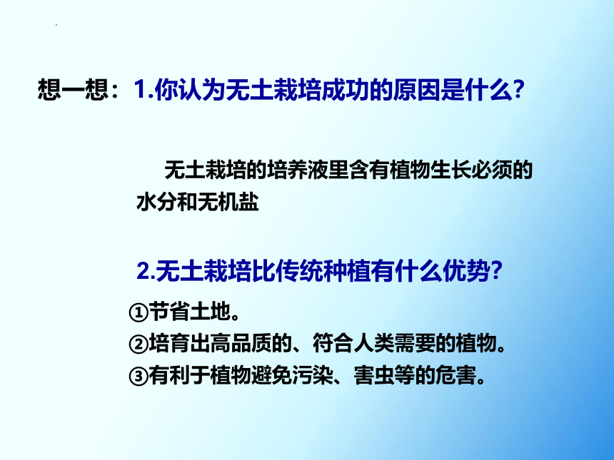 3.4.2绿色植物的生长需要水和无机盐（第1课时）课件(共22张PPT) 2022-2023学年苏科版生物七年级上册