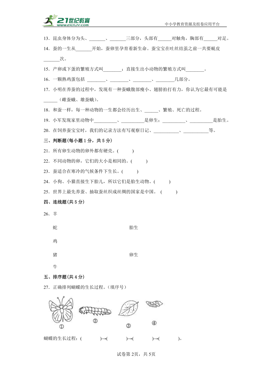 教科版三年级科学下册第二单元测试卷（含答案）