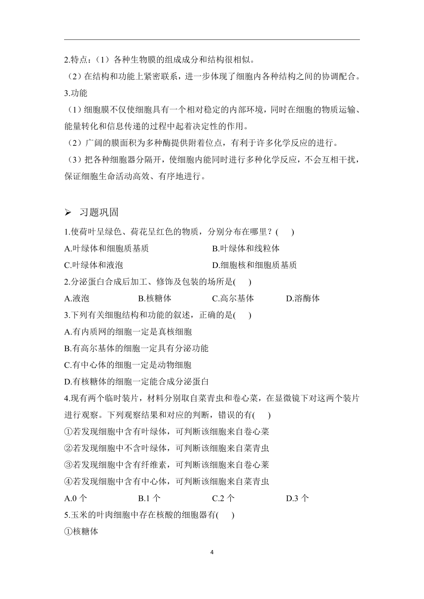 第3章细胞的基本结构（2）细胞器学案（含解析）—2023-2024学年初升高生物学人教版（2019）精准链接