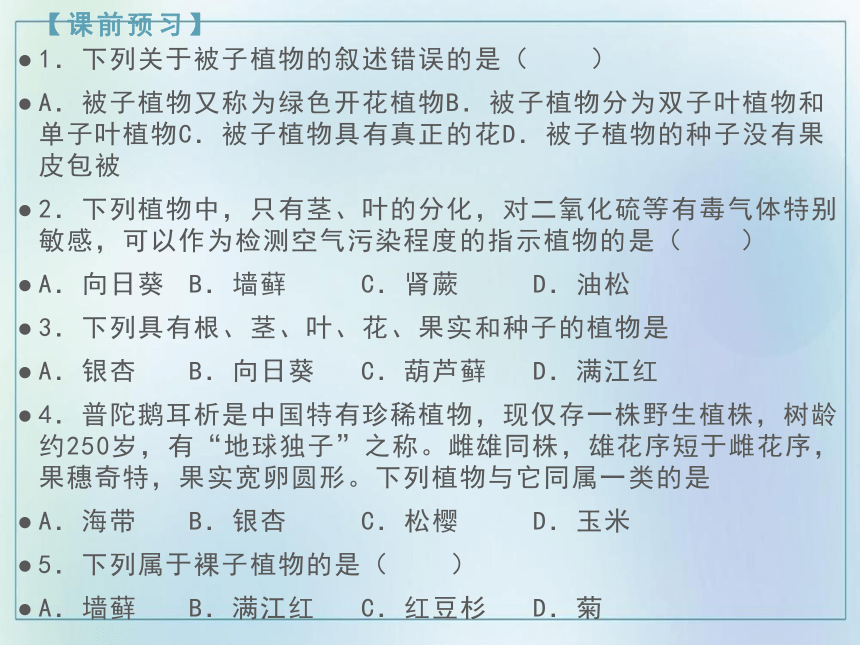 3.1.2 种子植物  课件(共45张PPT)  2021—2022学年人教版七年级生物上册