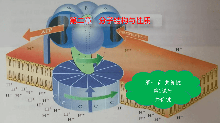 化学人教版（2019）选择性必修2 2.1.1共价键 课件(共33张PPT，内嵌视频)