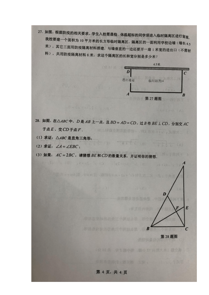 上海市川中南校2021-2022学年八年级上学期期中测试数学试题（图片版，含答案）