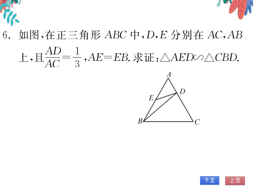 【沪科版】数学九年级上册 22.2 相似三角形的判定 第3课时 习题课件